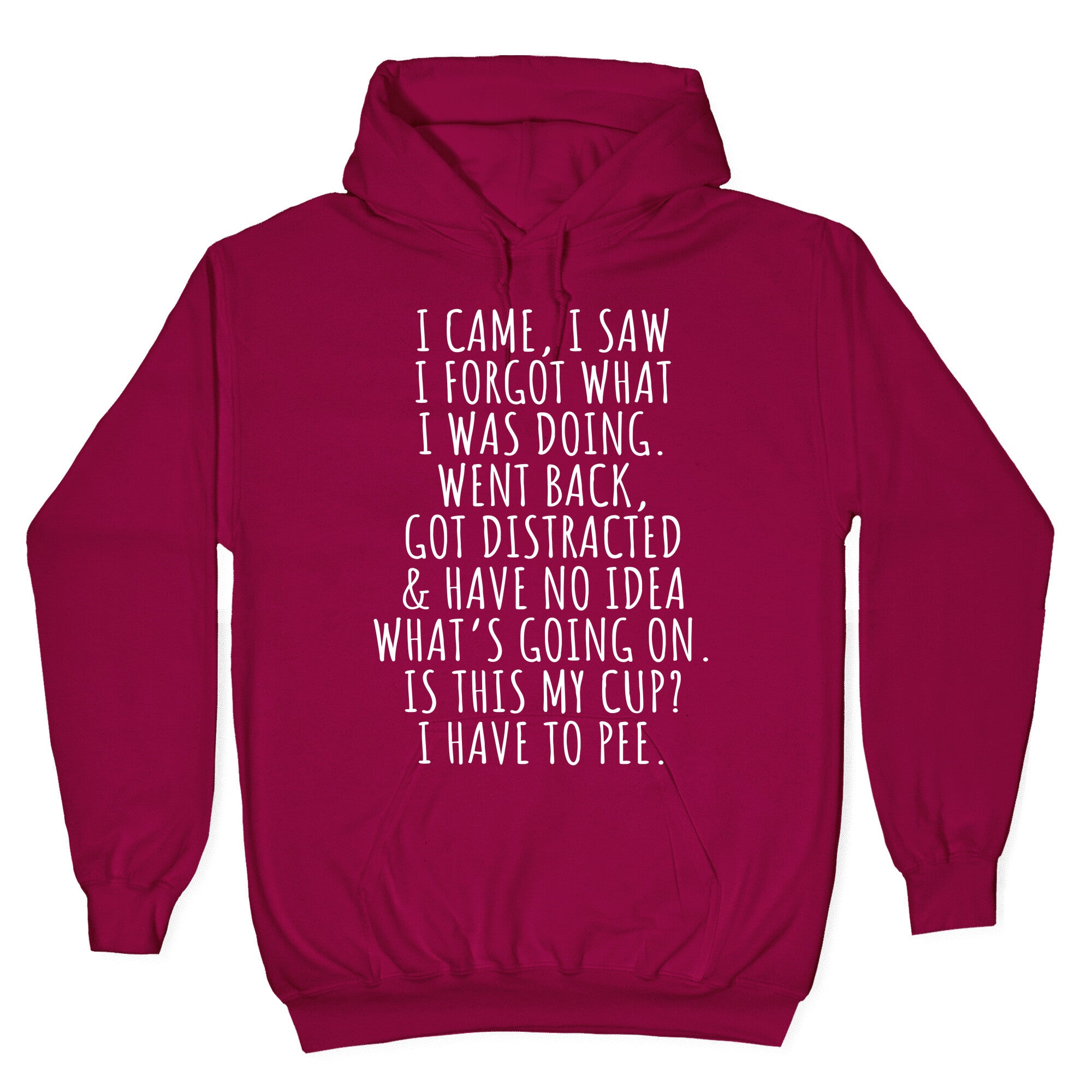 I Came I Saw I Forgot What I Was Doing Hoodie